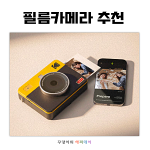 300원대 인화지의 "가성비 여행 준비물" 코닥 필름카메라 추천