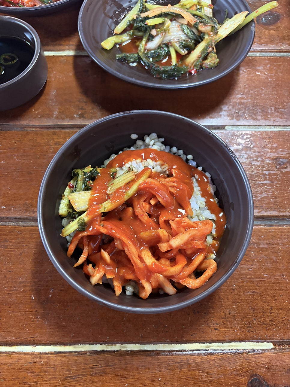 토박이 사진 5