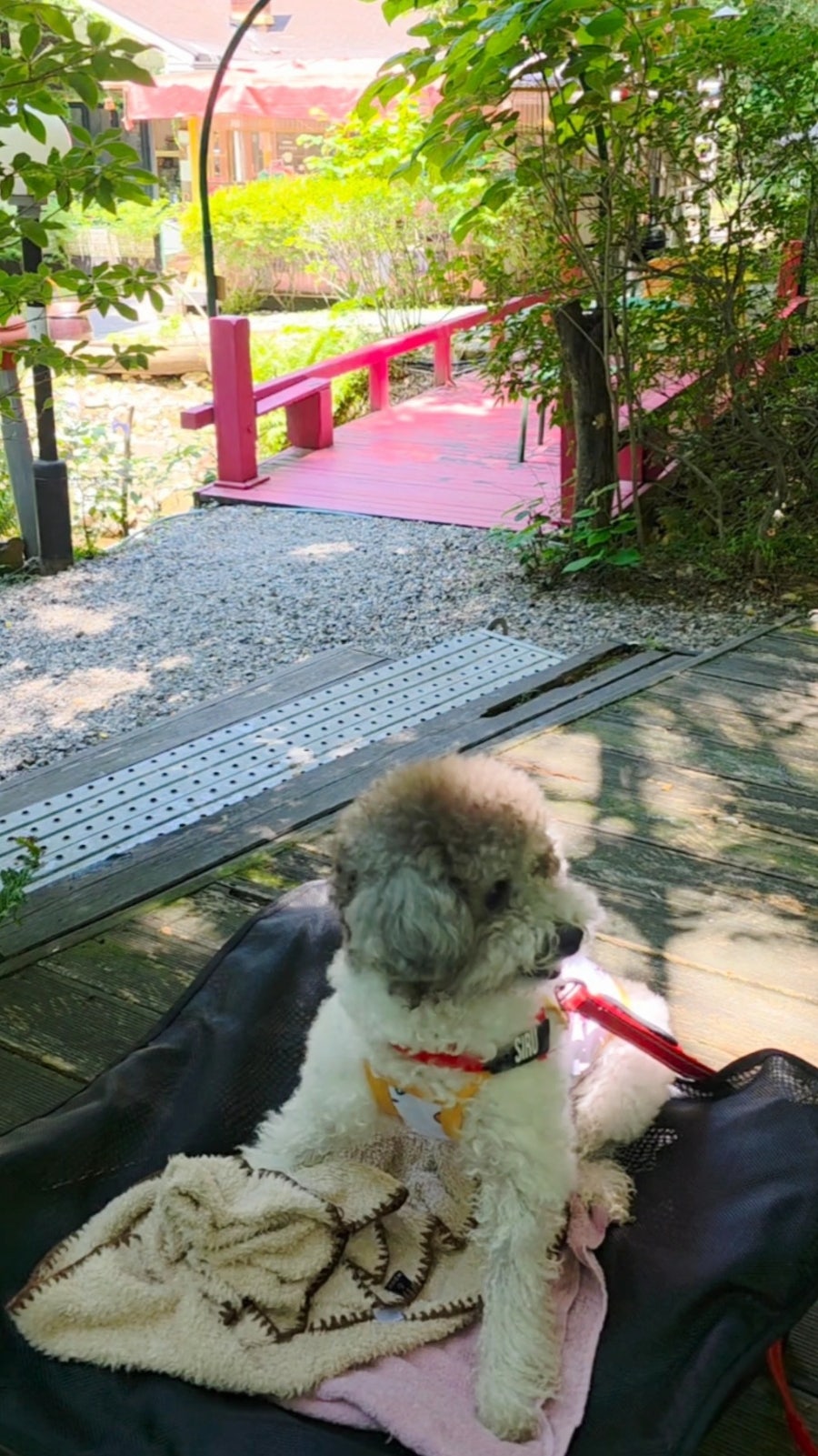 림카페 사진 3