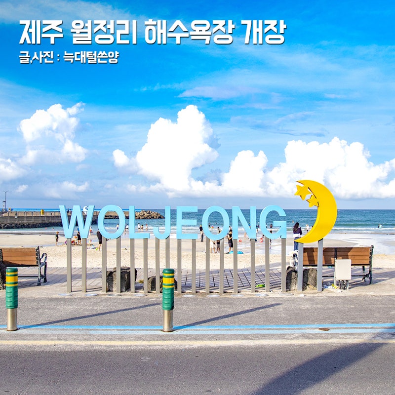 제주 월정리 해변 해수욕장 스노쿨링 명소 파라솔 샤워 주차