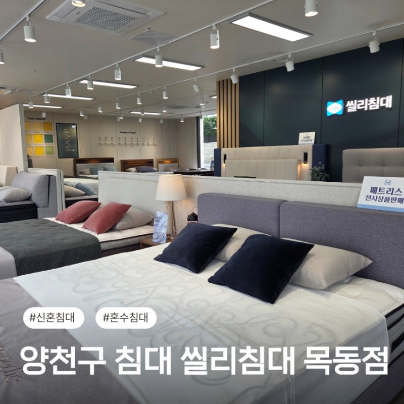 양천구 침대 최우수매장 씰리침대 목동점 신혼침대 구매 꿀팁