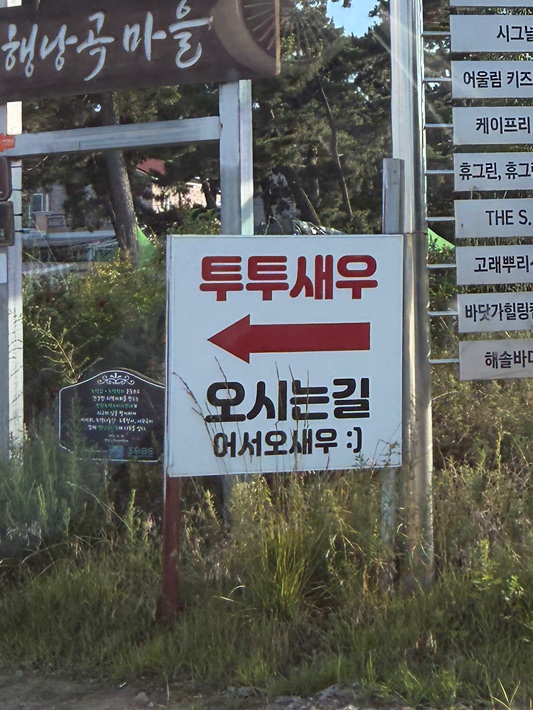 대부도투투새우&수산 사진 3