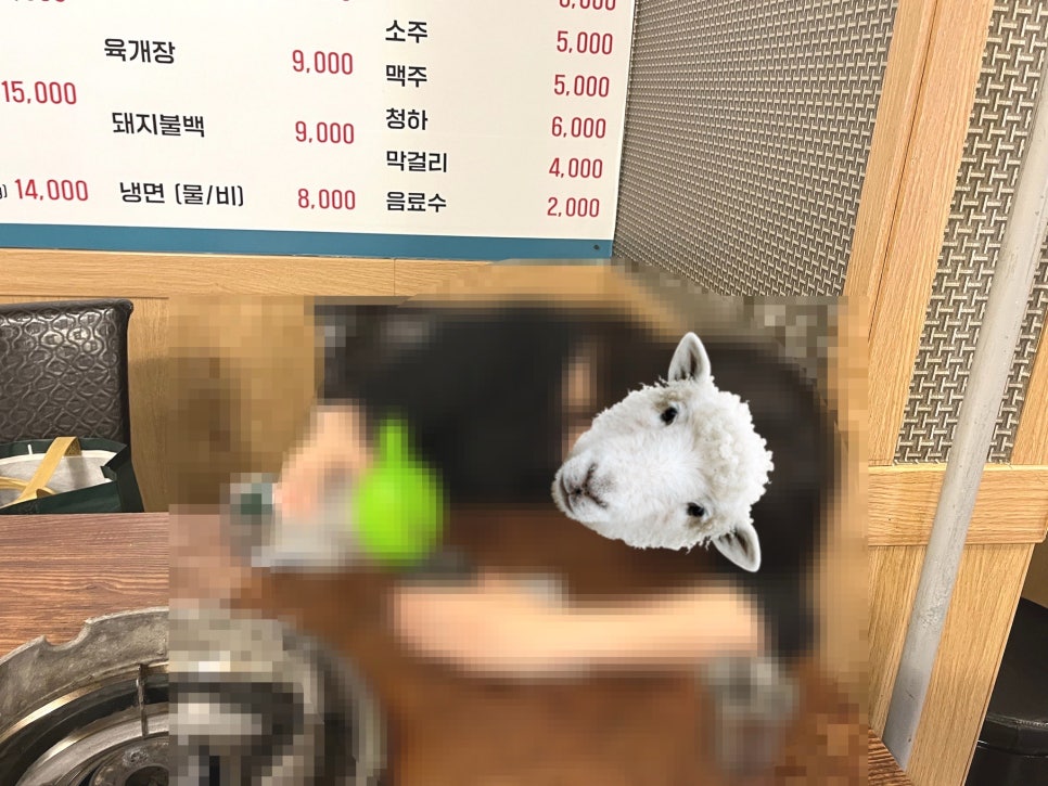 푸른농장정육식당 사진 6