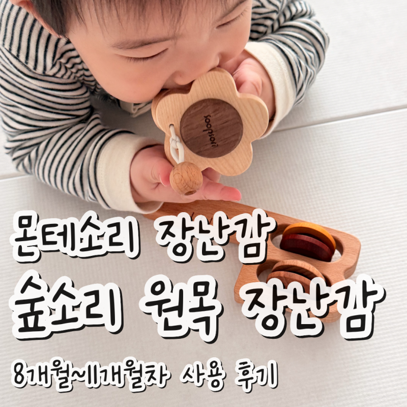 숲소리 원목 장난감 8개월 10개월 몬테소리 교구 4개월 찐사용후기(단점 포함)