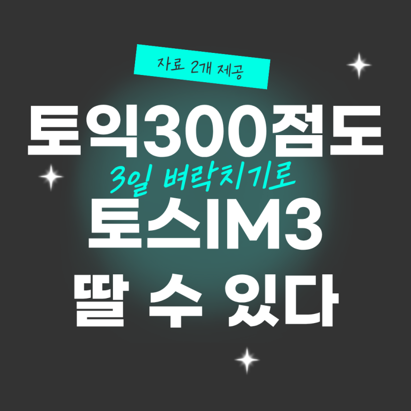 토익스피킹 독학 3일 IM3 후기｜토익 300점도 성공한 토익스피킹 요약본 PDF 공유