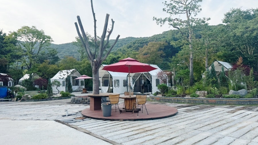 고기육백 사진 2