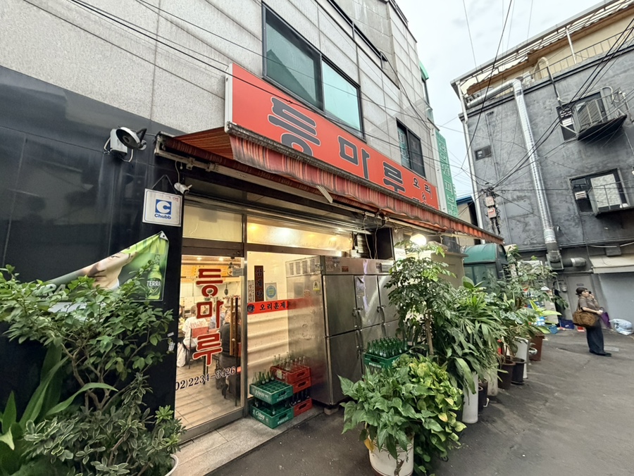 등마루 사진 4