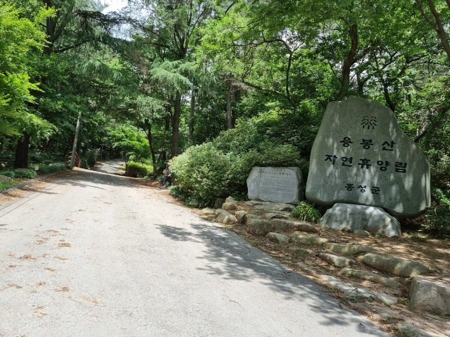 용봉산자연휴양림 사진 2