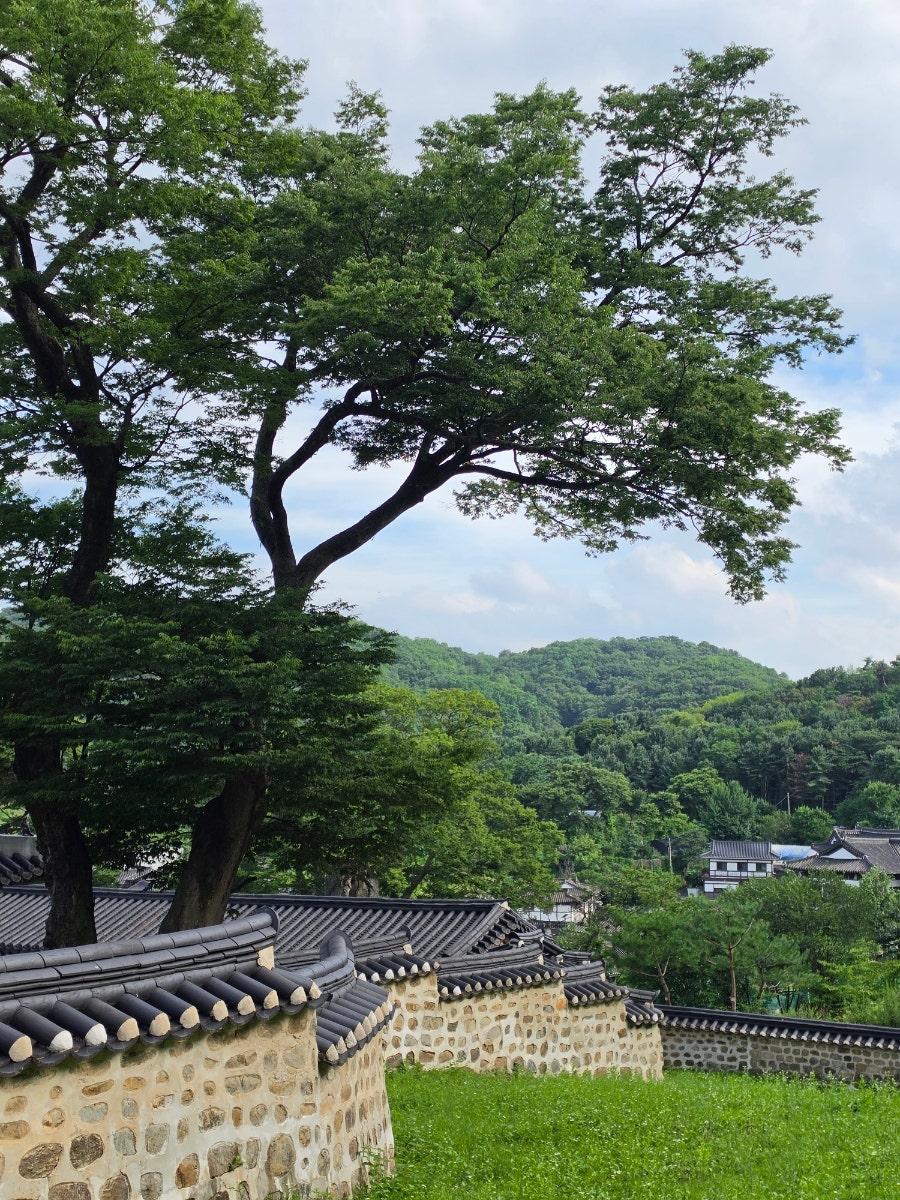 여기로와 사진 4