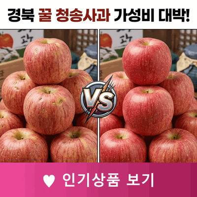 경북 꿀 청송사과 5kg 못난이 부사 안동 문경 사과, 가성비 대박인 이유