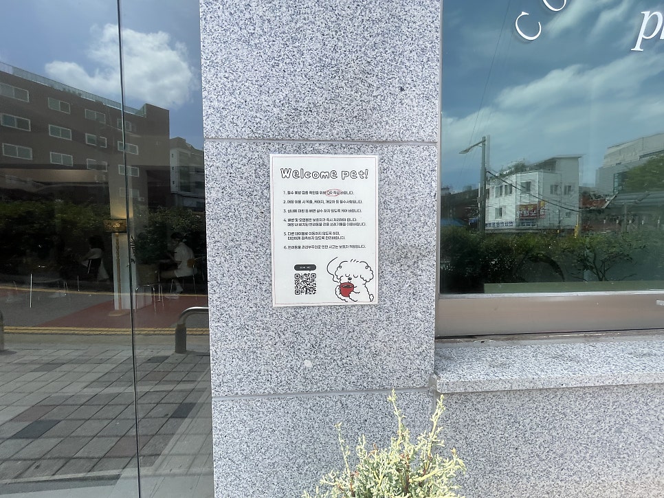 필오디오라운지 사진 6