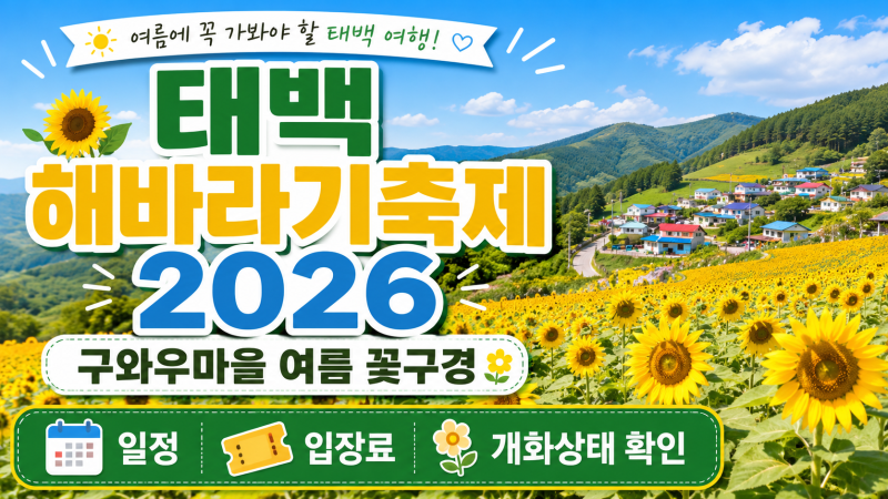 태백 해바라기축제 2026 일정·입장료, 구와우마을 여름 꽃구경 정리