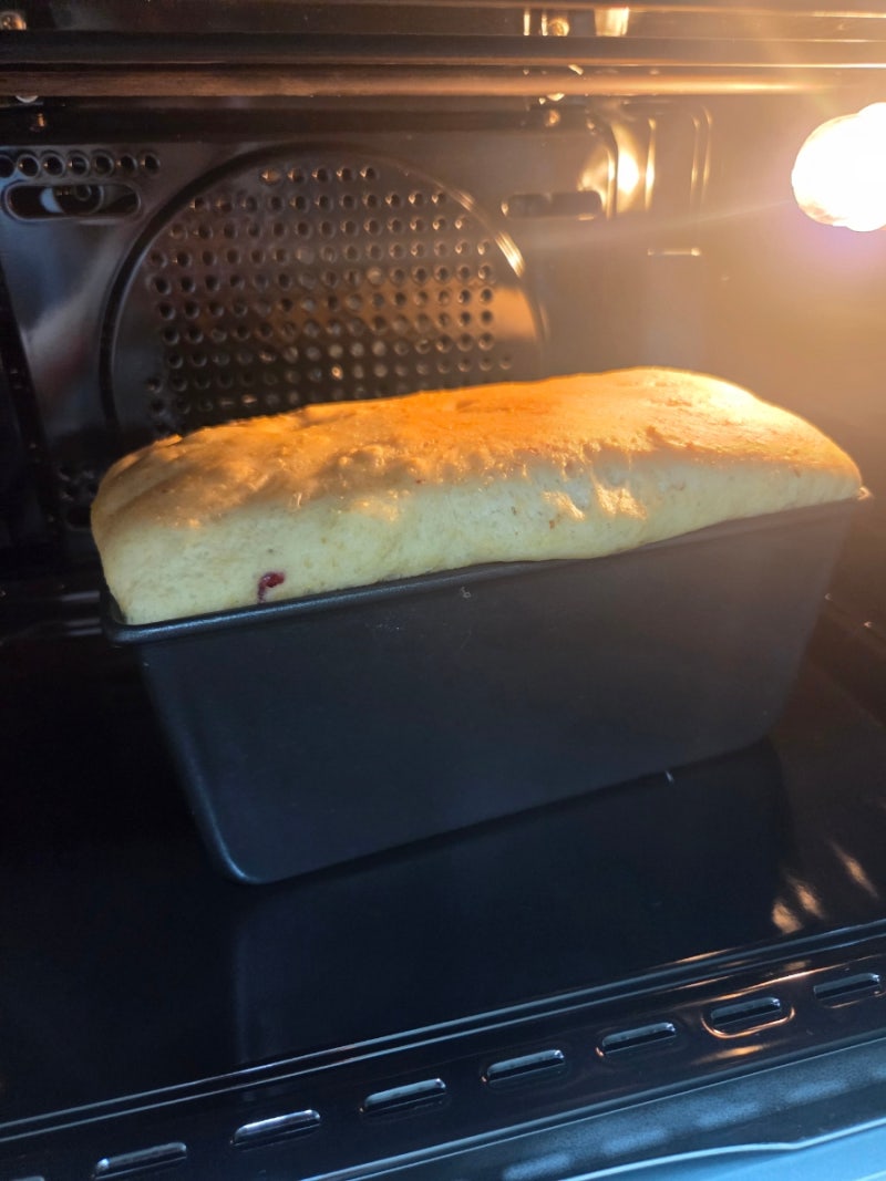 리빙웰 오븐으로 통밀빵 만들기, 발효 기능이 정말 만족스러워요