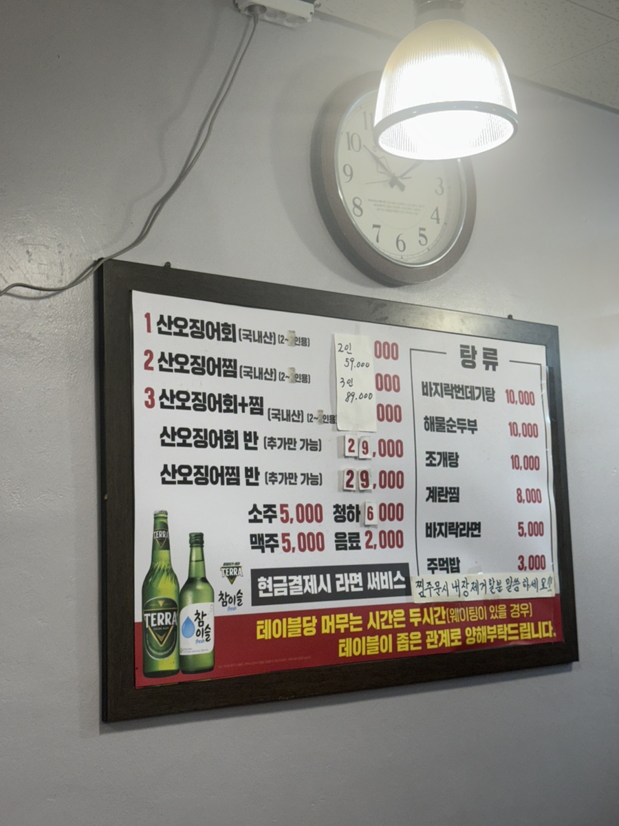 청송산오징어 사진 3
