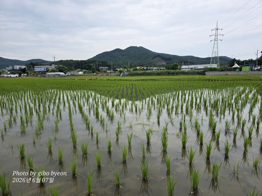 풍경 사진 6
