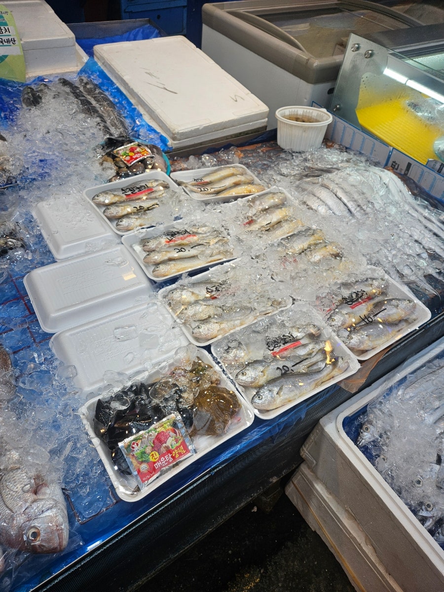 제일수산 사진 4