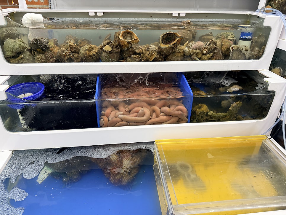 신전항수산 사진 5
