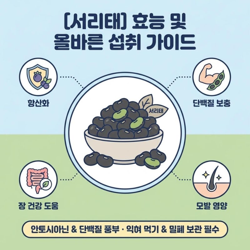 서리태 효능과 섭취 시 주의할 부작용, 올바른 먹는법과 보관방법 정리