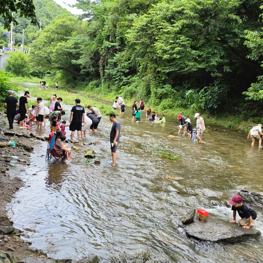 테라스478 사진 2