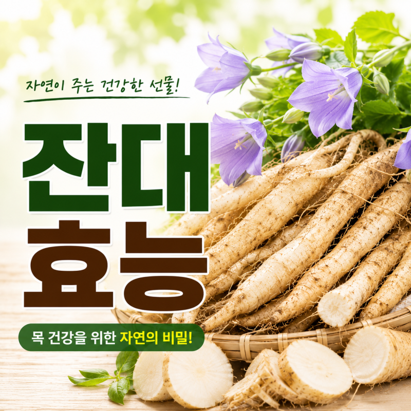 기관지와 면역력에 좋은 약초, 잔대효능과 먹는 법, 부작용