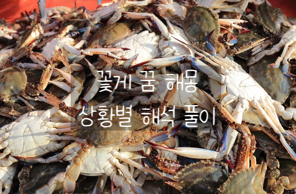 게 꿈 해몽 꽃게 잡는 꿈 먹는 꿈 상황별 풀이