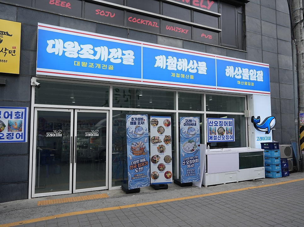 해삼 사진 1