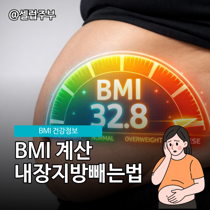 내장지방 빼는법, BMI계산하기 왜 중요할까요?