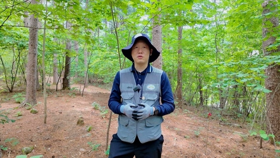 수목원 사진 2