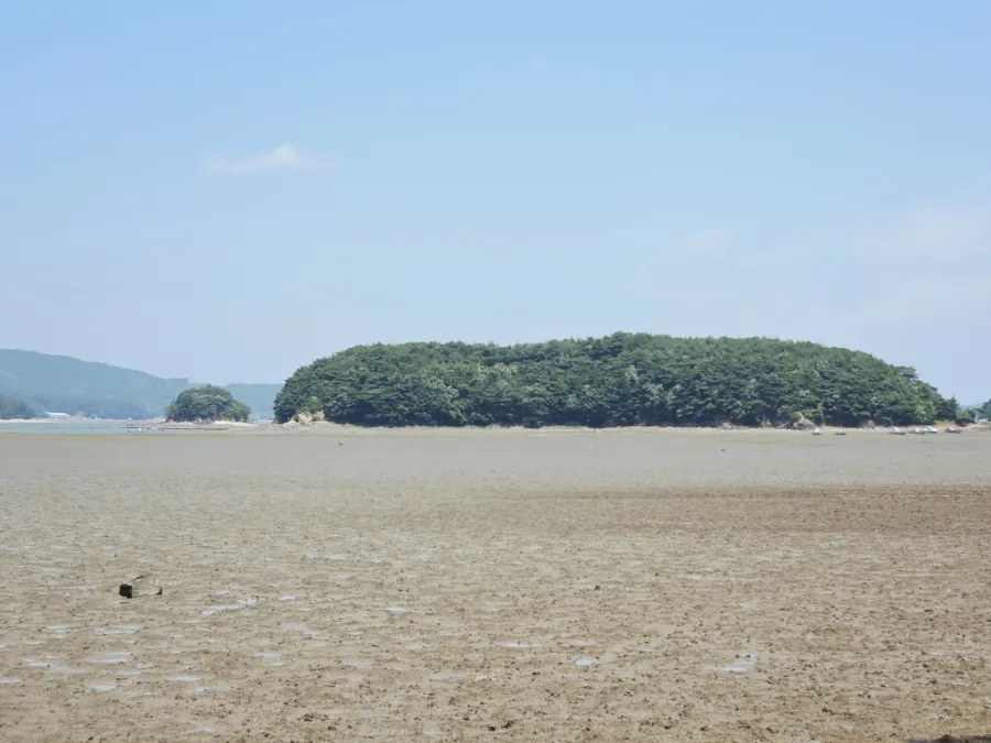 주벅배전망대 사진 6