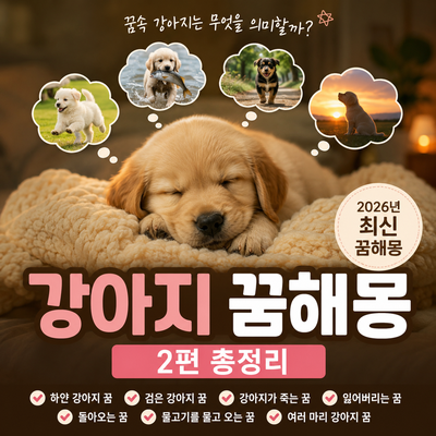 강아지 꿈해몽 2편｜하얀 강아지 꿈, 검은 강아지 꿈, 강아지가 죽는 꿈 총정리 (2026년 최신)