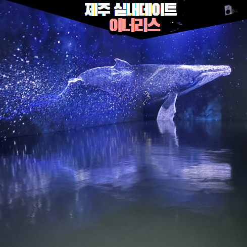 제주실내관광지 제주동쪽가볼만한곳 제주실내데이트 이너리스