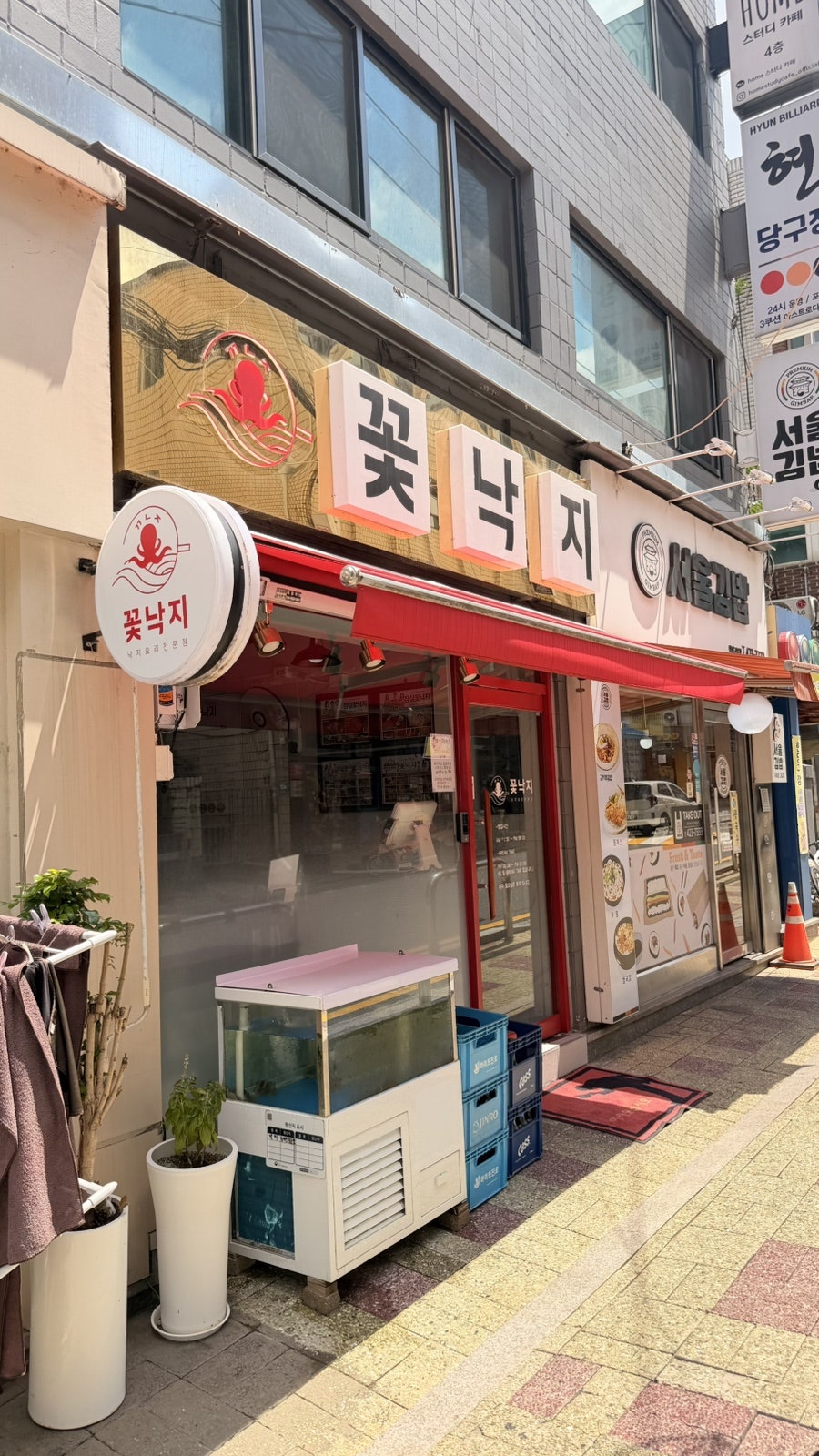 꽃낙지 사진 1