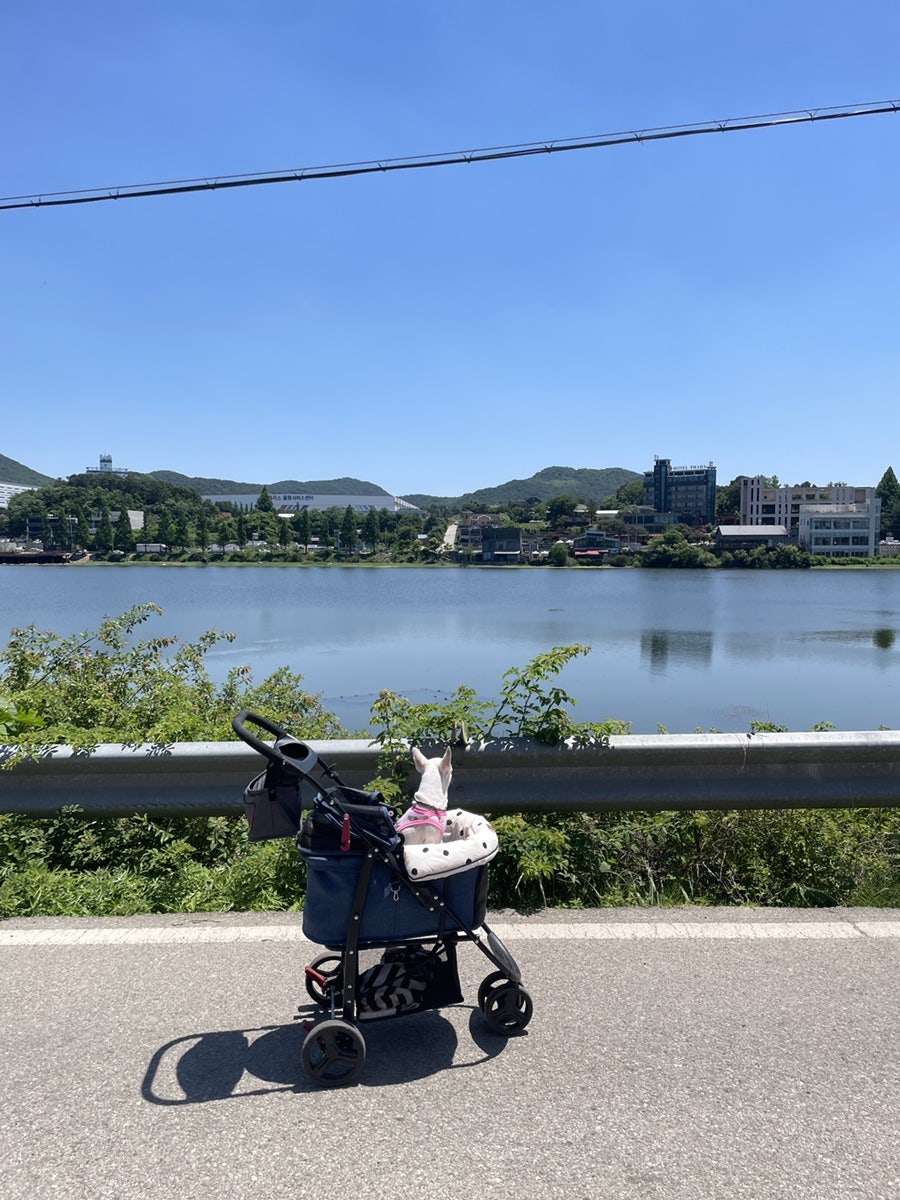 카페그리움 사진 2