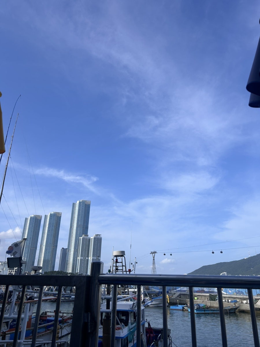 부라보횟집 사진 4