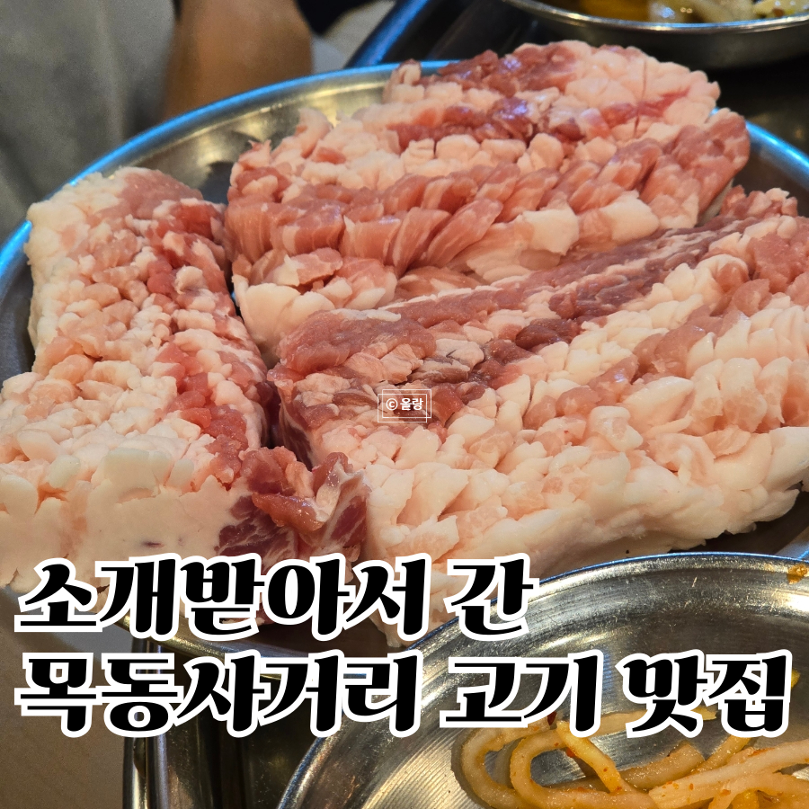 모던꿀꿀 사진 1