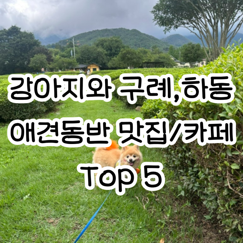구례 하동 여행 ㅣ 반려견 동반 맛집 & 카페 필수코스 TOP 5 완벽 정리