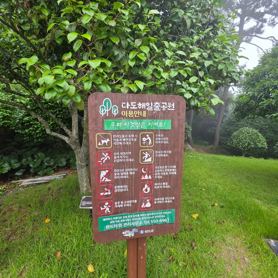 꾸석지돌판한우 완도점 사진 3