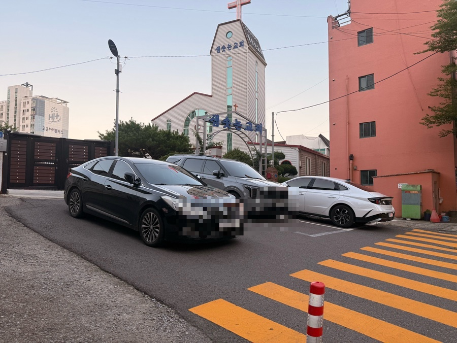 미미양 사진 1