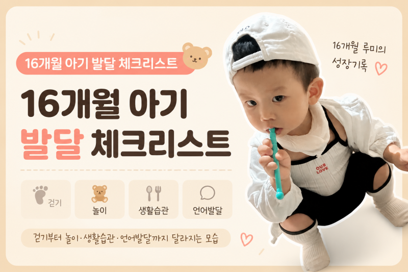 16개월 아기 발달 체크리스트｜걷기부터 놀이·생활습관·언어발달까지 달라지는 모습