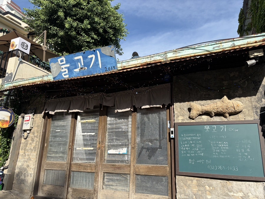 물고기 사진 2