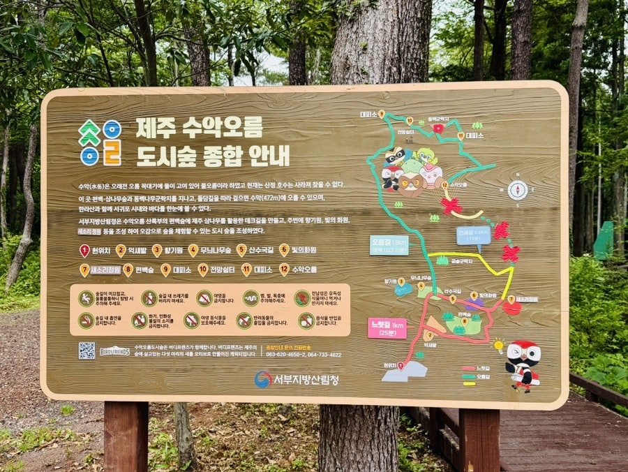 수악오름도시숲 사진 2