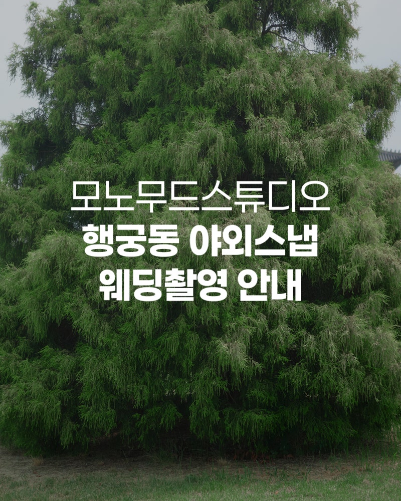 모노무드스튜디오 수원 행궁동 야외스냅 웨딩촬영 안내