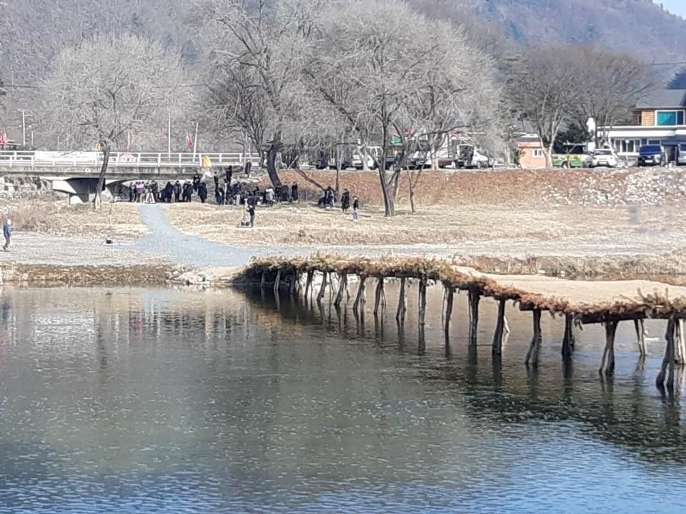 다그린캠핑장 사진 3