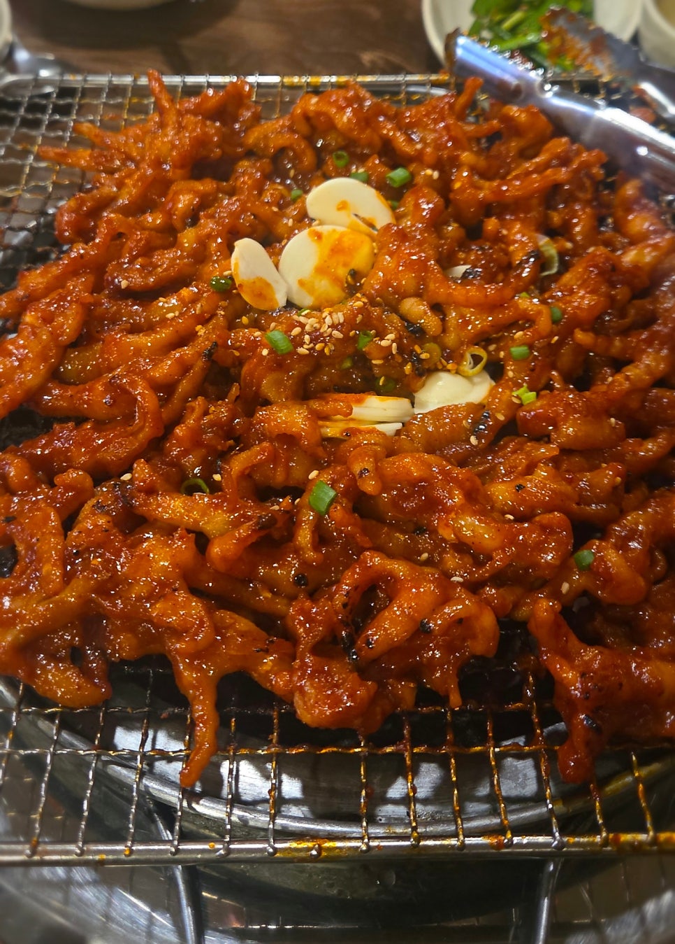애리꼼닭발 사진 3