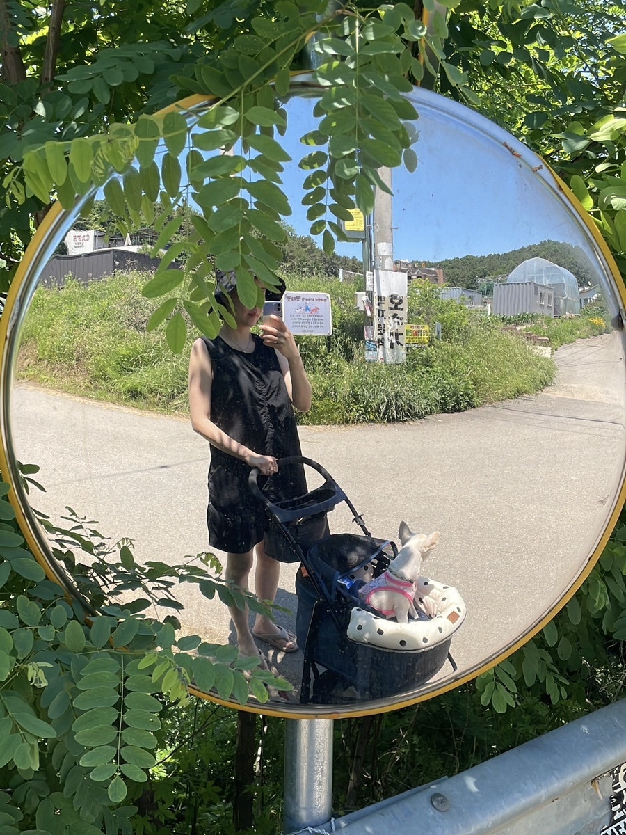 카페그리움 사진 1