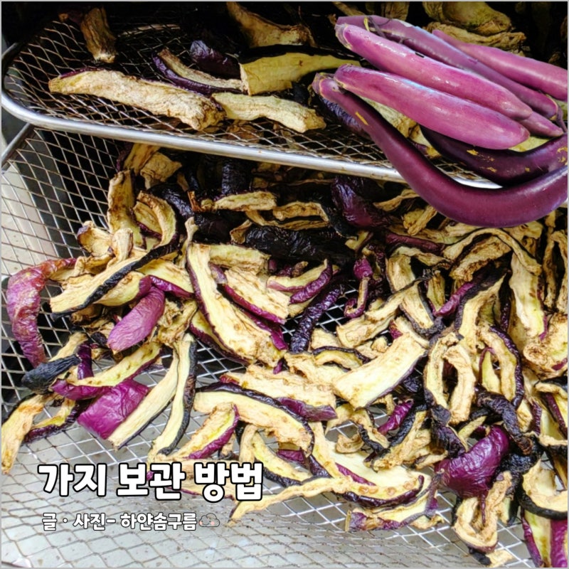 가지 오래 보관하는 방법 에어프라이어 가지 건조 말리기
