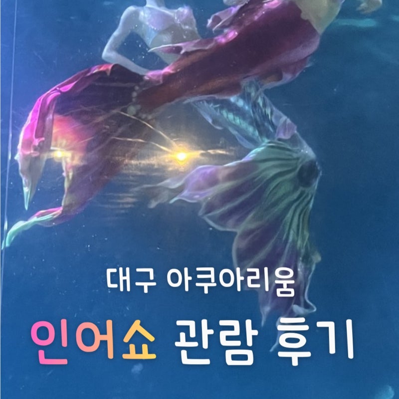 [대구 가볼만한 곳] 대구아쿠아리움 인어쇼 후기 (+할인링크)｜대구 실내데이트·대구신세계....