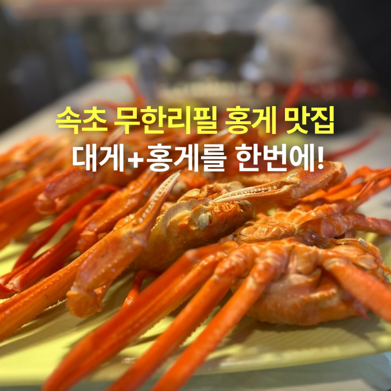 무한리필 가능한 속초 롯데리조트 근처 대게 홍게 맛집, 아이와 가볼만한곳