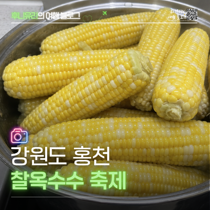 강원도 여름축제 추천! 홍천 찰옥수수축제 총정리