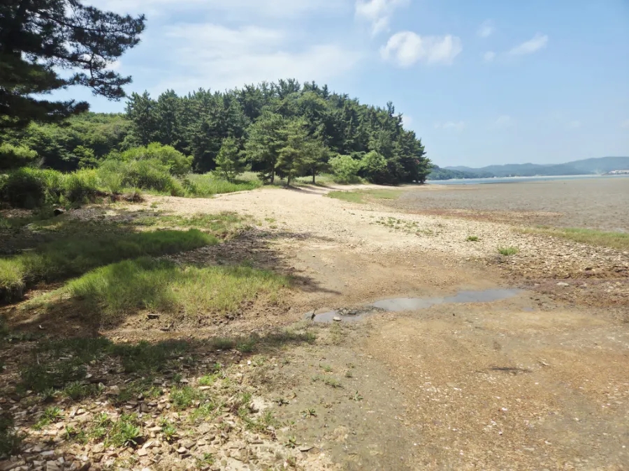 주벅배전망대 사진 3